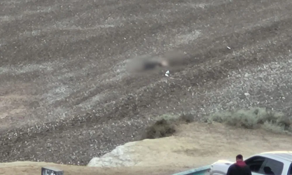 Encuentran un cadaver en Puerto Madryn