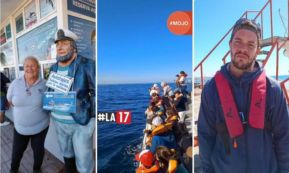 AVISTAJE DE DELFINES MOJO