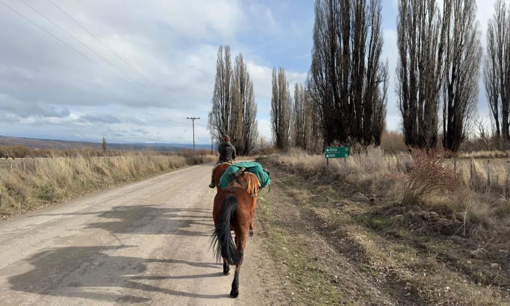The World From a Horse El Muindo desde un caballo