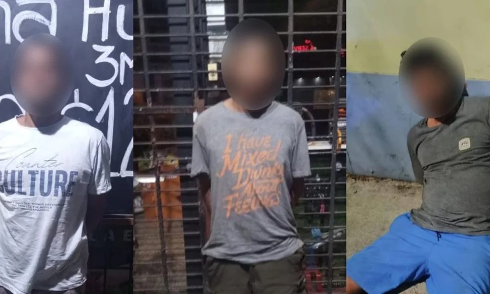 Detienen a delincuentes en Villa Urquiza