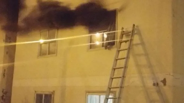 Tragedia en Ushuaia: Incendio en Torre de Departamentos Deja Seis Mascotas Muertas.