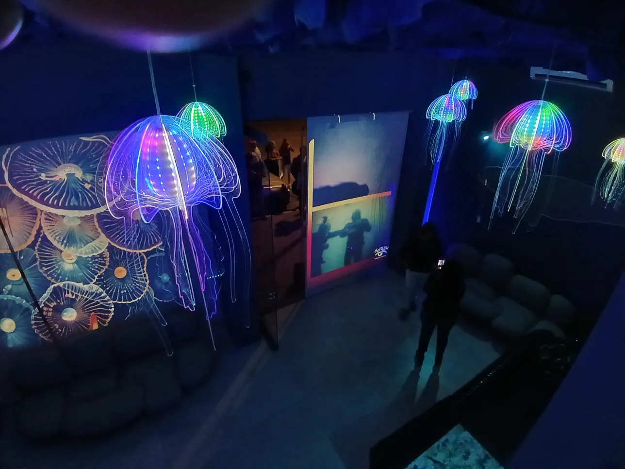 Nuevas oficinas de Bottazzi Avistajes