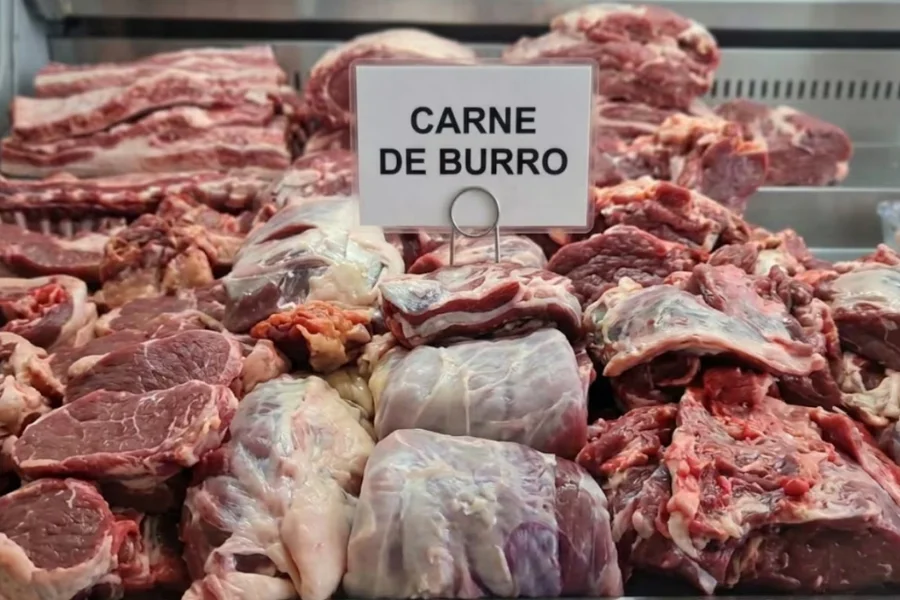 Carne de burro