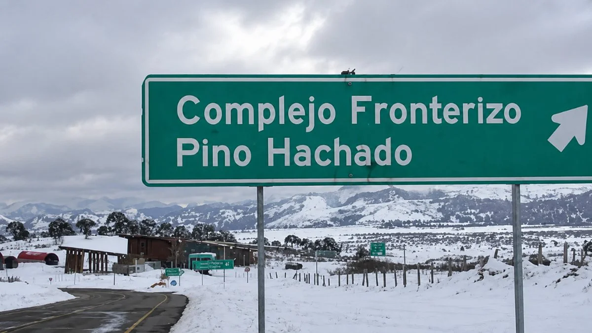 Pino Hachado