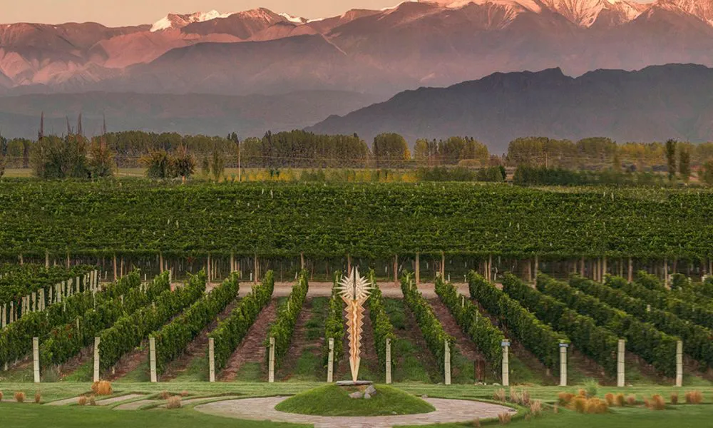 Estancia bodegas viñedo Norton