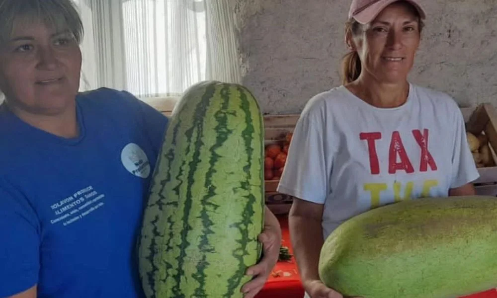 na sandía de casi 14 kilos se llevó uno de los aplausos más buscados en Dolavon