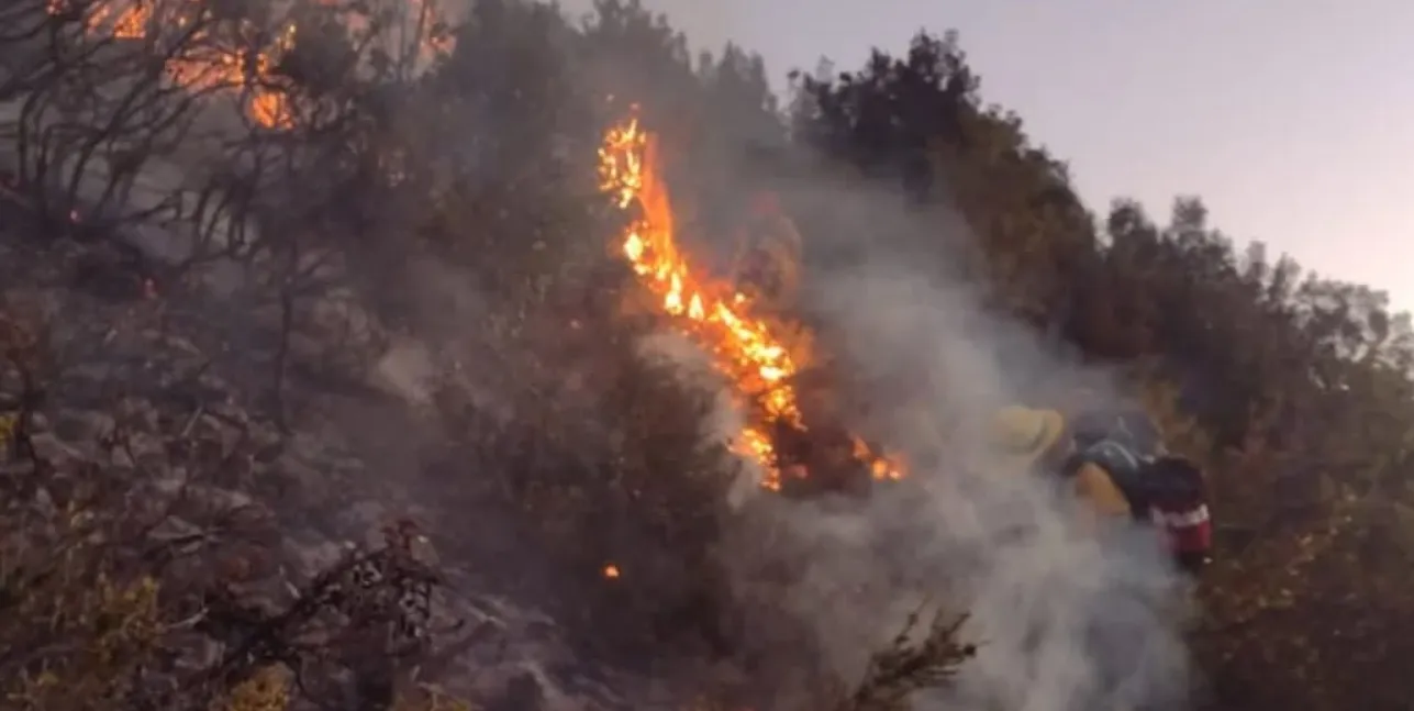 incendio el manso