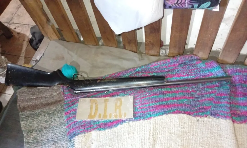 Secuestran armas en Epuyen