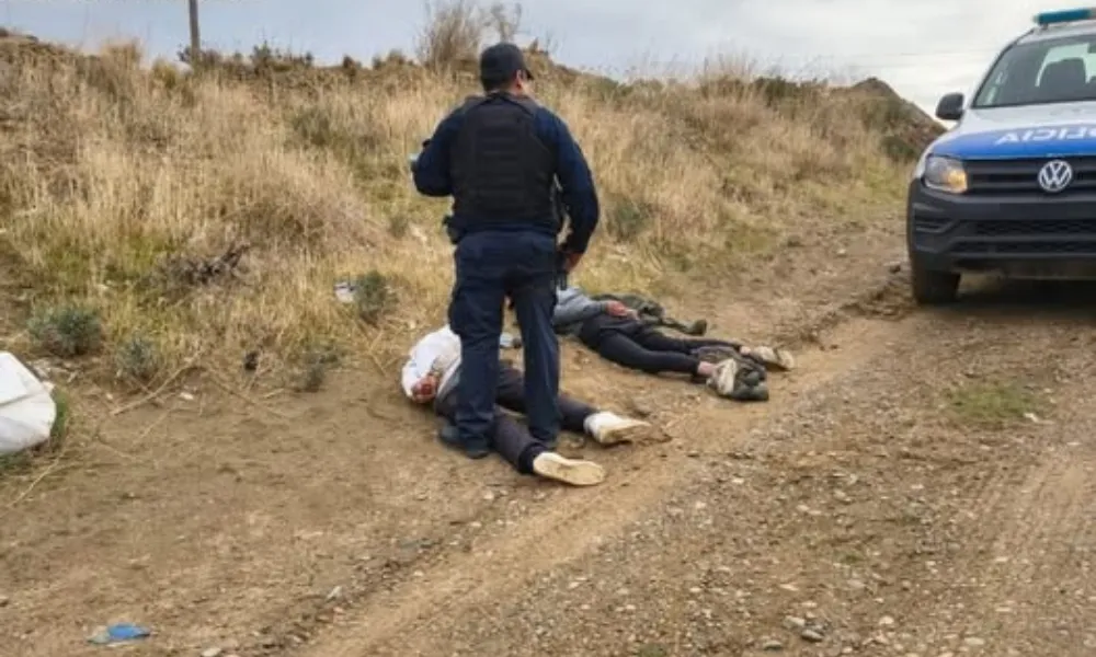 Detenidos