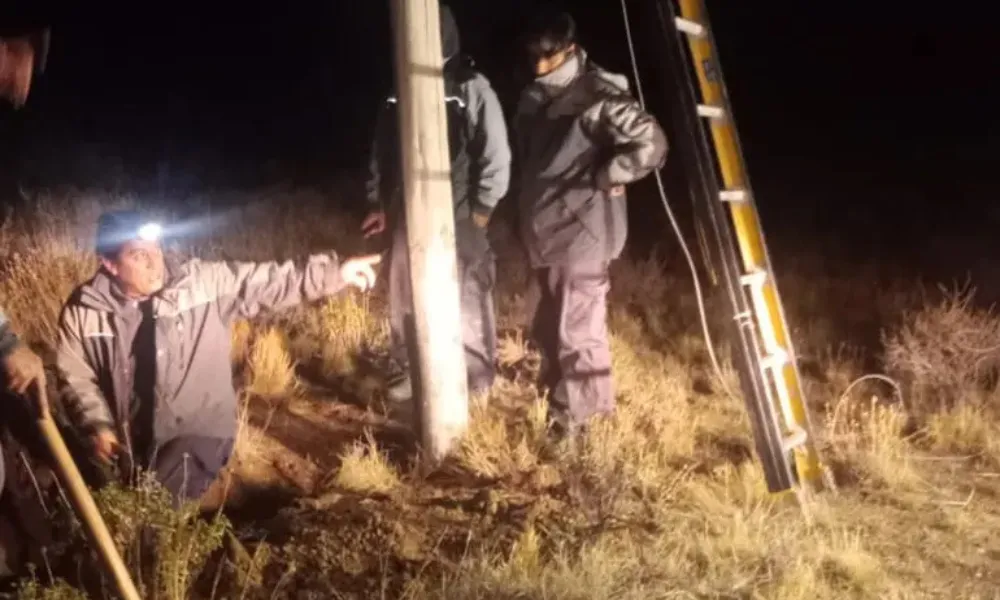 Reparación de la fibra óptica