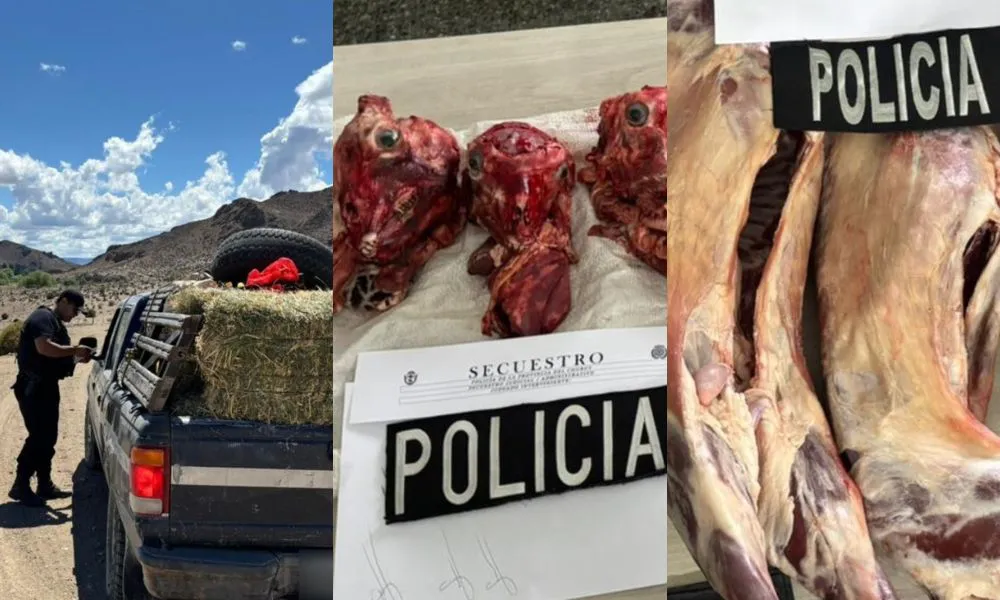 Robo insólito en Gualjaina