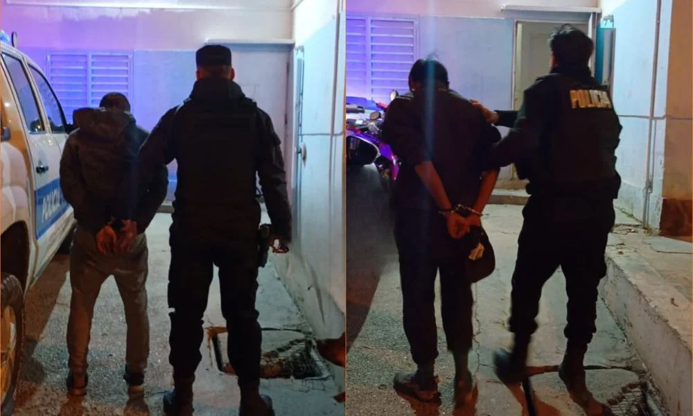 Robaron la batería de un auto y fueron detenidos