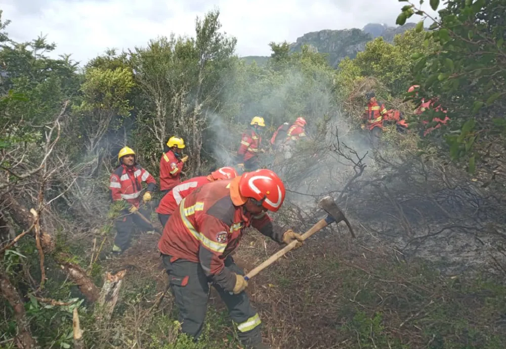 lucha contra incendios en la Cordillera