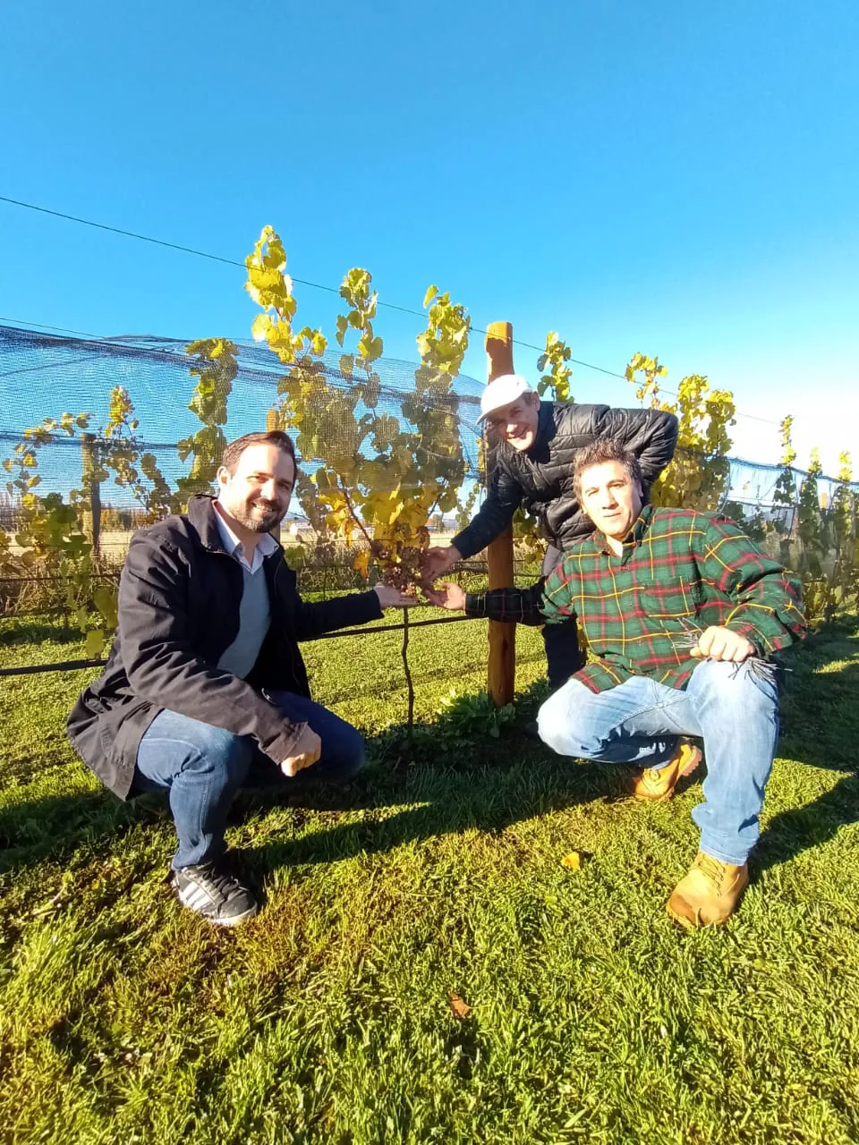 Imagen de WhatsApp 2024-05-05 a las 23.03.19_b2e2118e