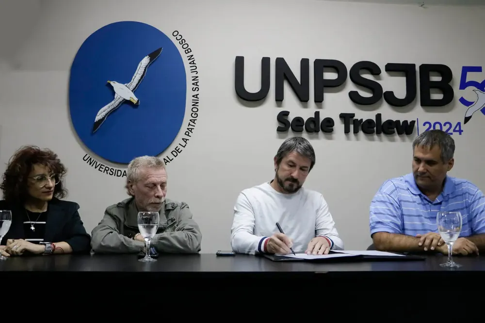 Merino universidad