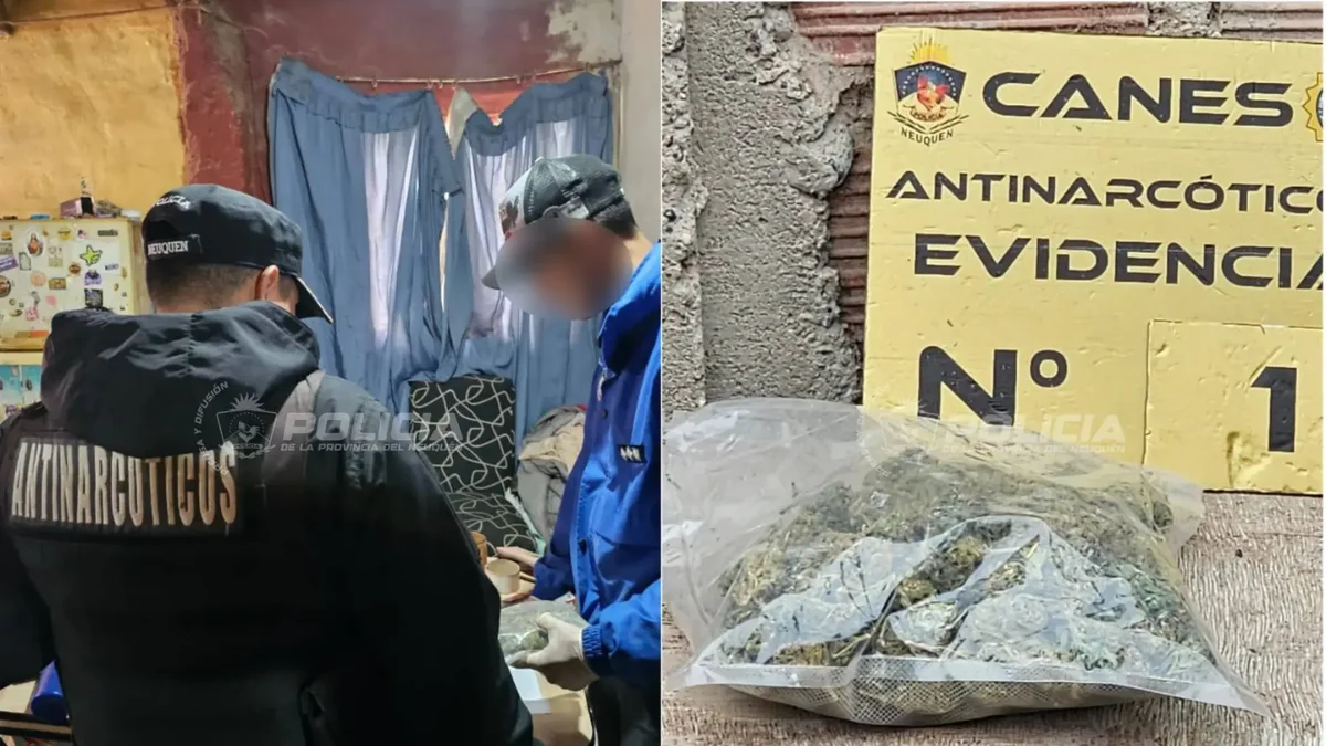 Fuentes policiales indicaron que en el lugar había cannabis sativa y clorhidrato de cocaína.
