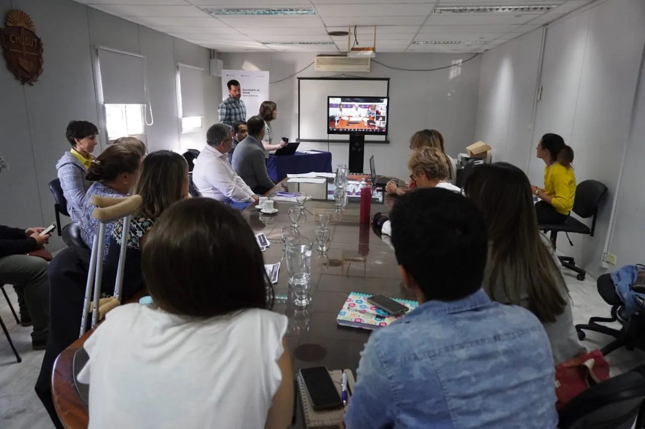 Reunión por telesalud 2