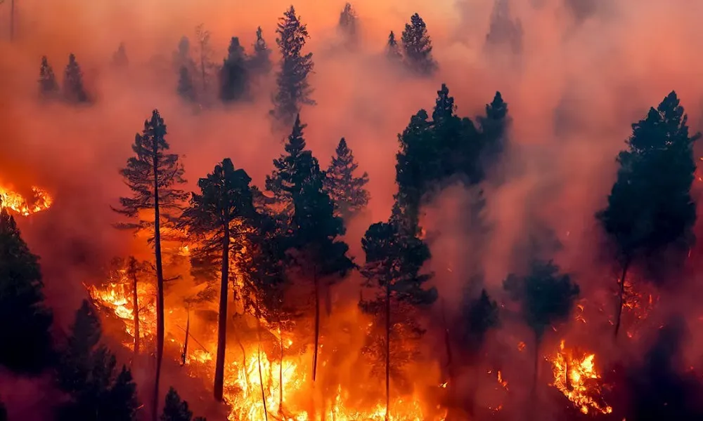 Incendios forestales en Chile (Foto Gentileza Radio Universal)