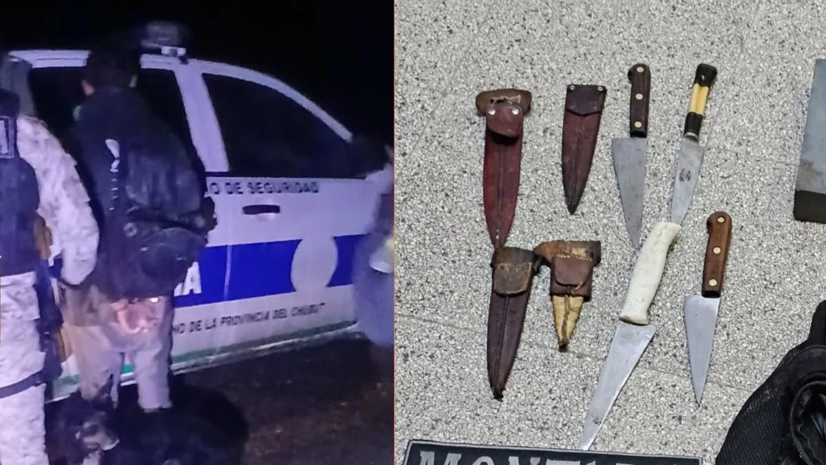 Hombre detenido por intento de robo de ganado en Sarmiento