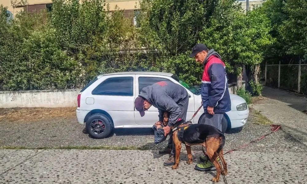 Búsqueda en Río Gallegos