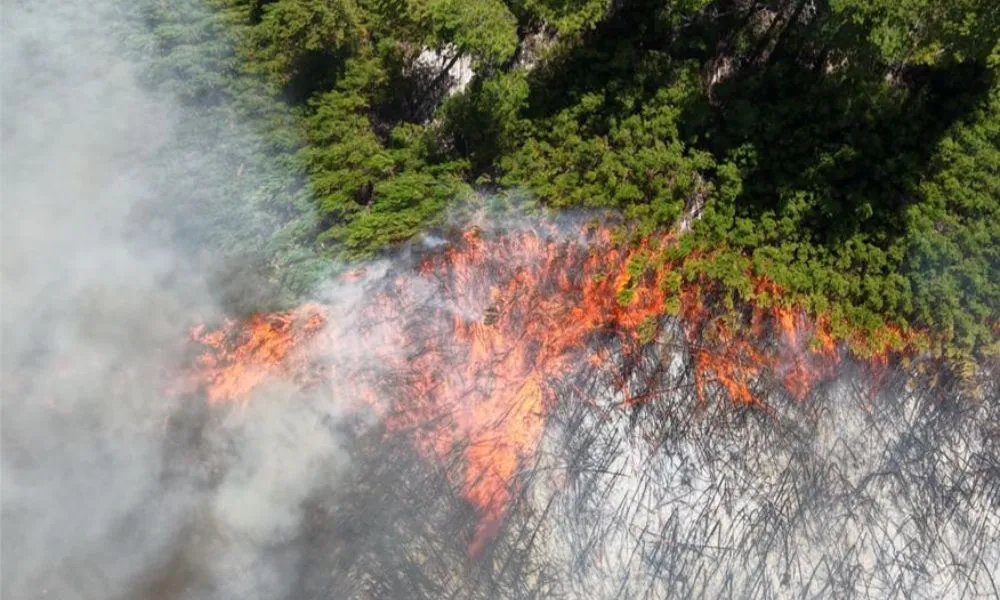 Incendio en Puerto Patriada