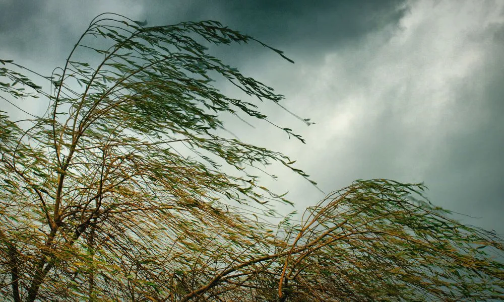 Imagen ilustrativa de viento con cielo nublado Foto Freepik