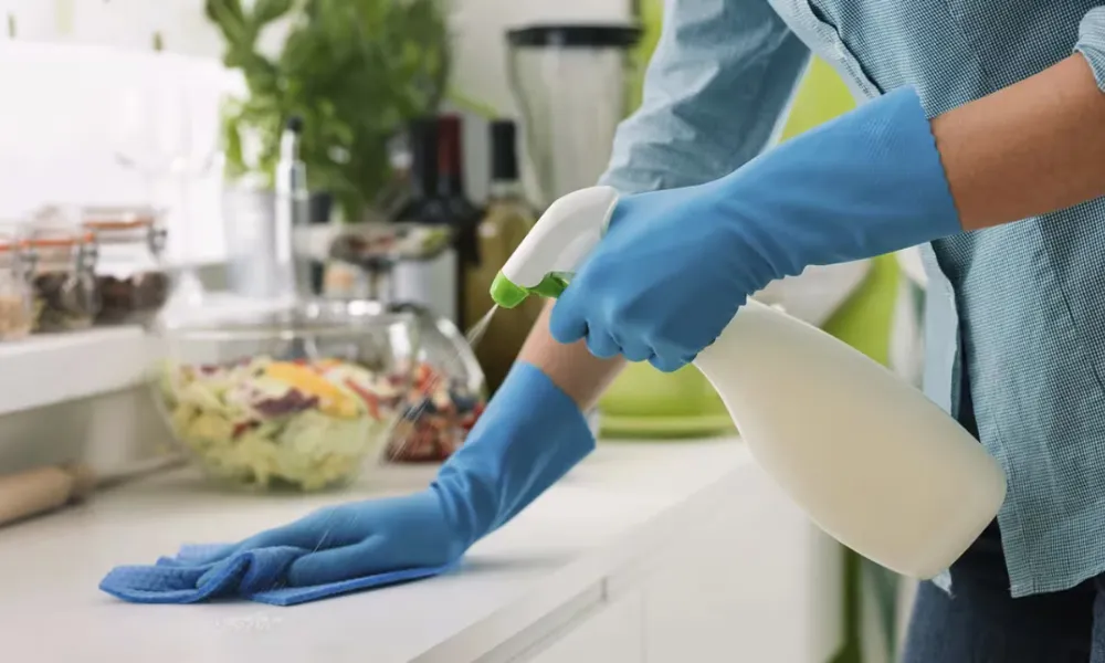 Empleadas de casa particulares