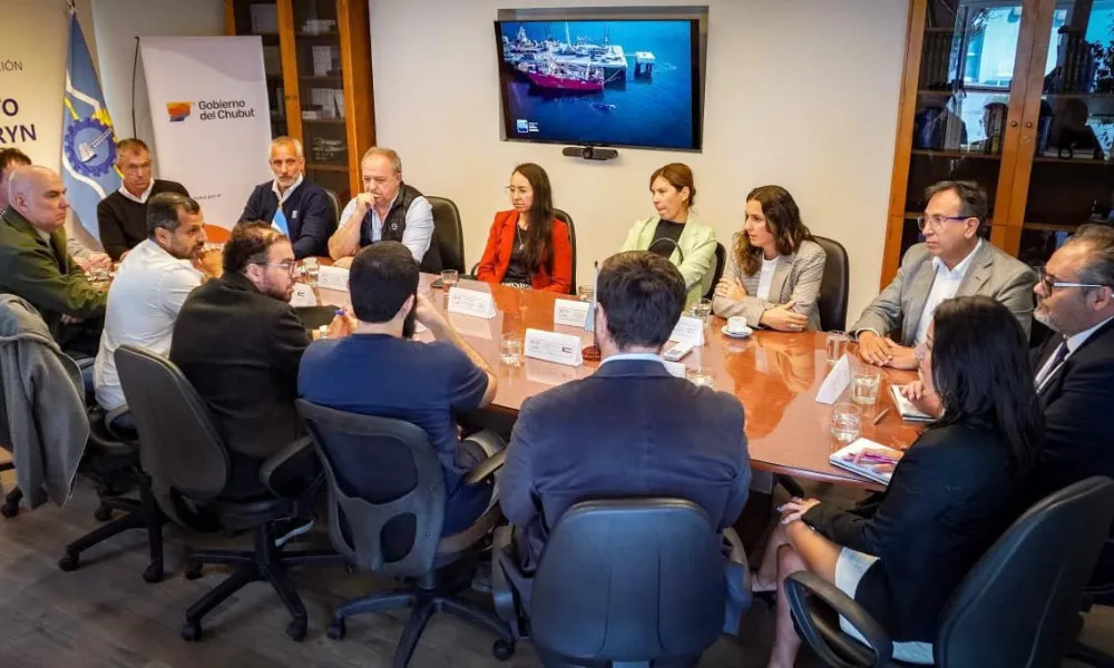 Reunión en Puerto Madryn