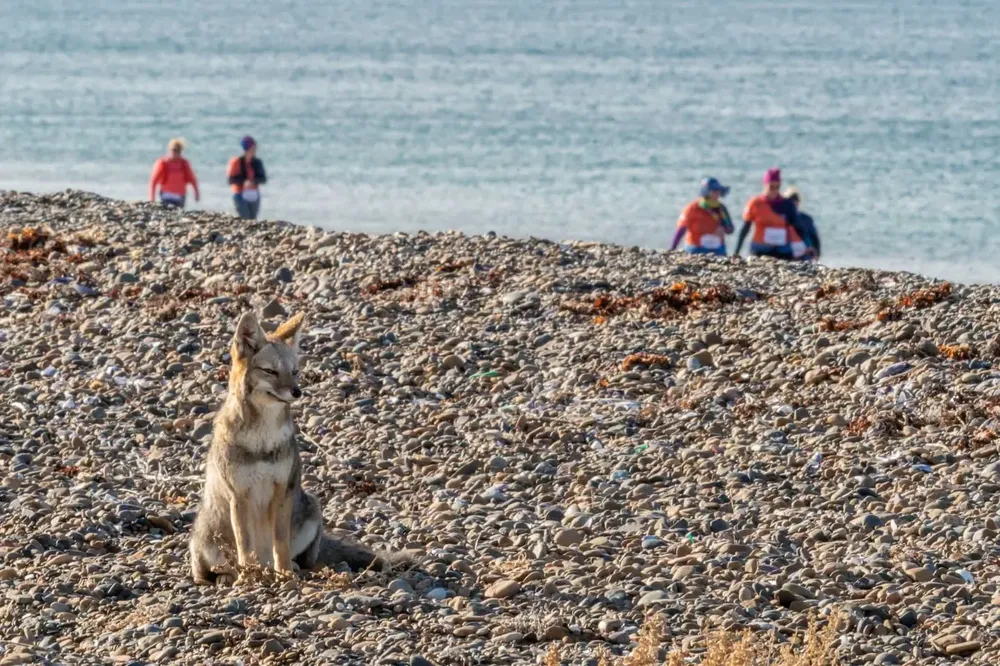 La Aventura Franca Austral a El Doradillo. 3