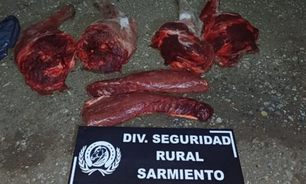Secuestran carne de guanaco en Sarmiento