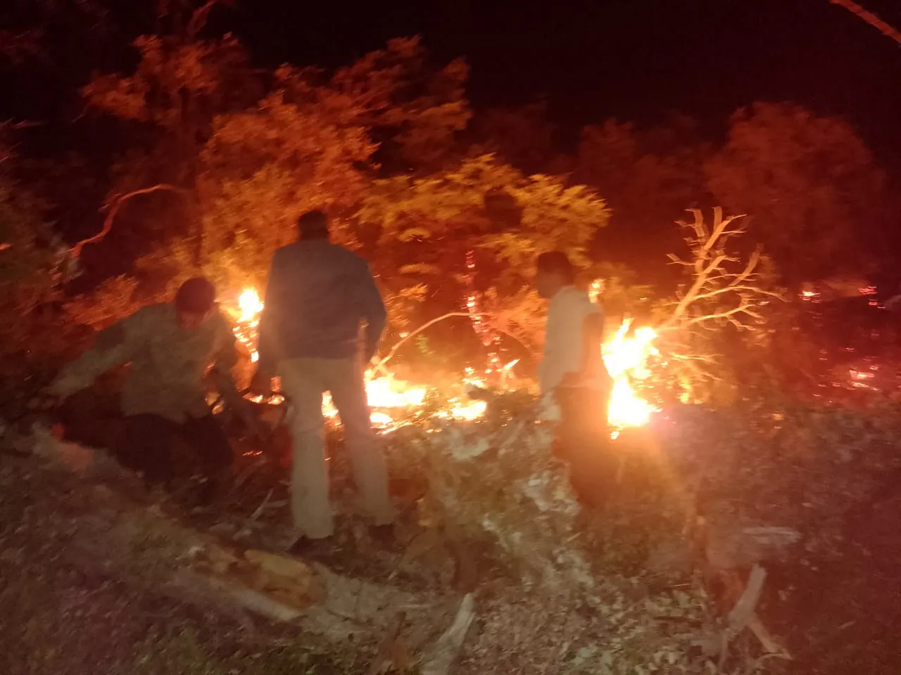 incendio los alerces