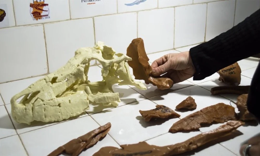 El reptil habitó la actual zona de Talampaya hace aproximadamente 237 millones de años.