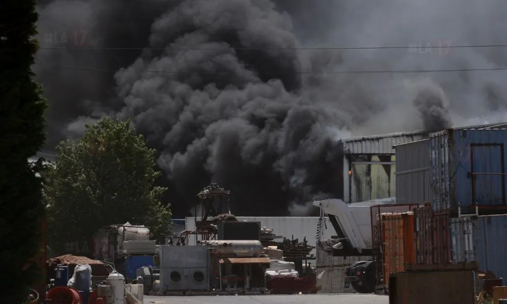 Incenio Conarpesa Madryn 3