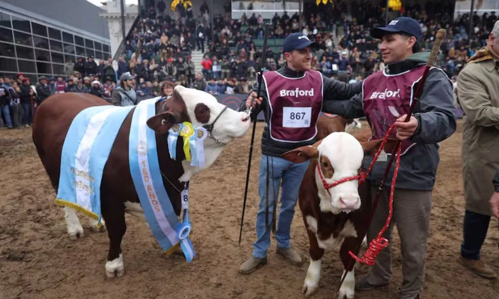 Ejemplares cordobeses se consagraron Grandes Campeones. Foto Pilar Camacho/LA NACION