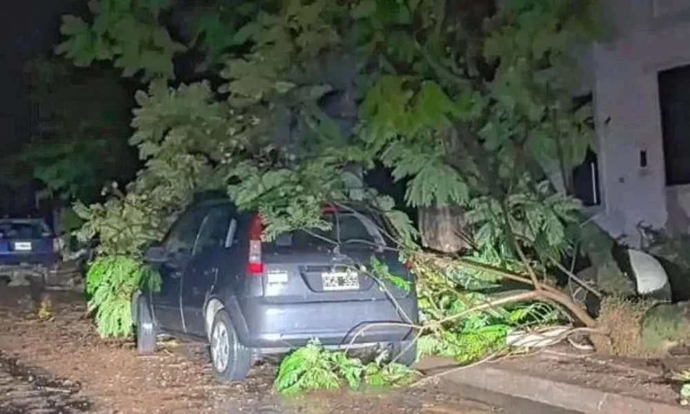 Fuerte temporal en Entre Ríos foto Diario UNO