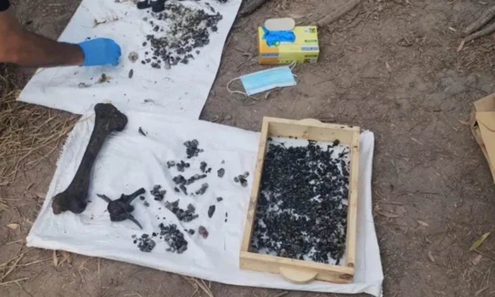 Restos hallados en el Río Tragadero