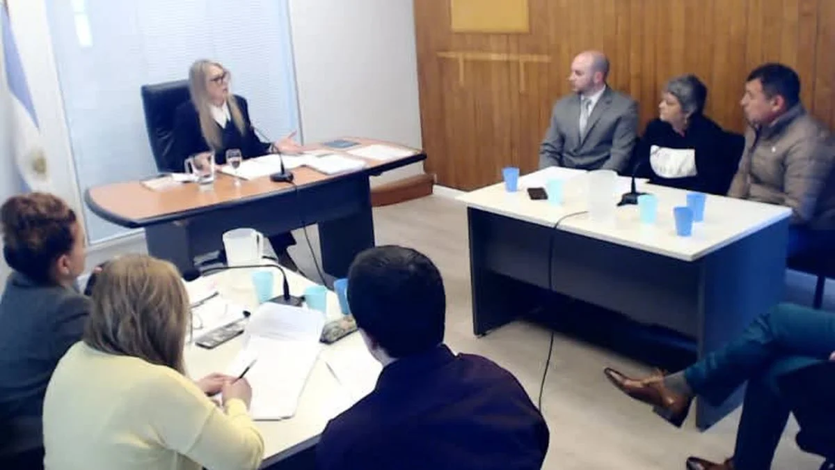 La jueza Breckle fue dura con el refugio Callejeros