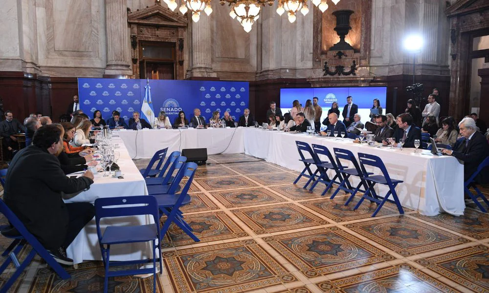 Debate en el Senado por la Ley de Salud Mental