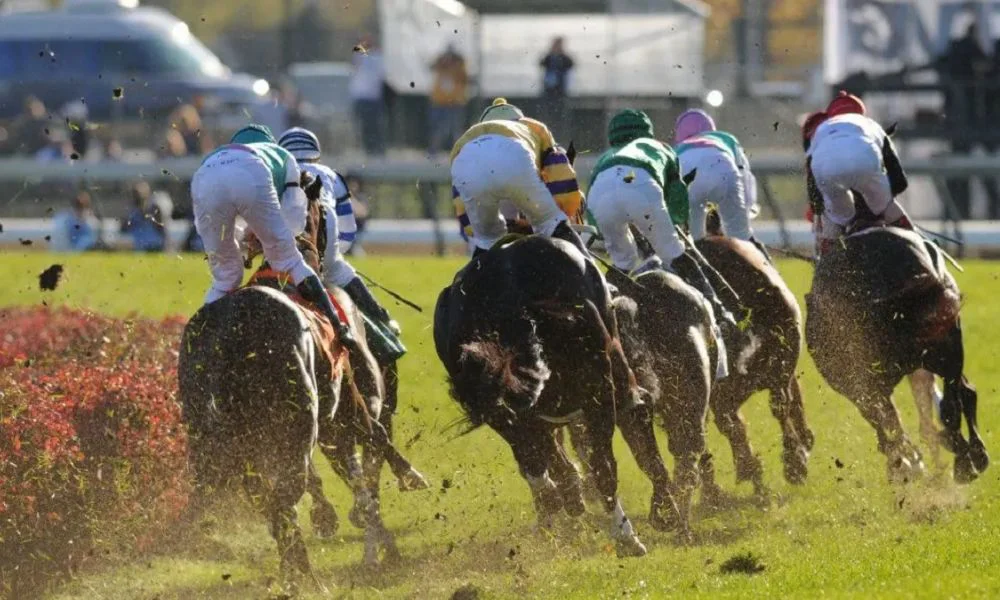 Turf en el Hipódromo de Palermo. Foto Ámbito