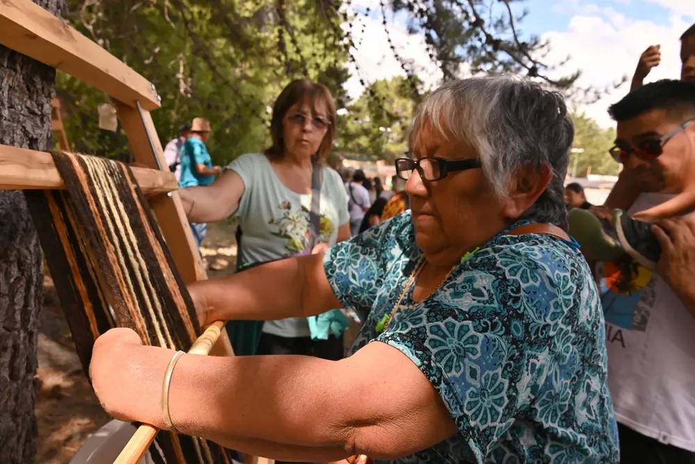 Fiesta 31º del artesano en Epuyen