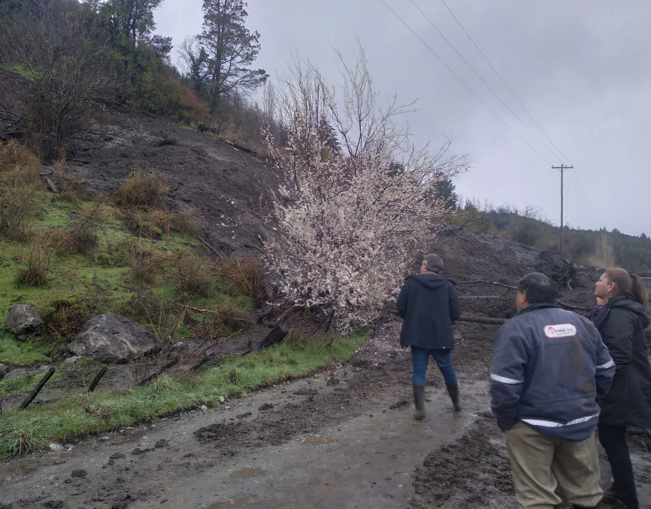 Emergencia climática en EL Hoyo