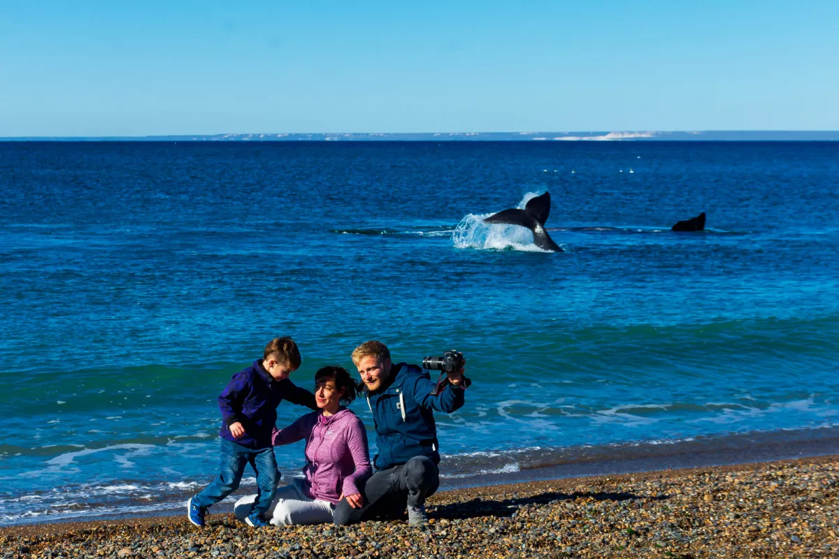 turismo madryn