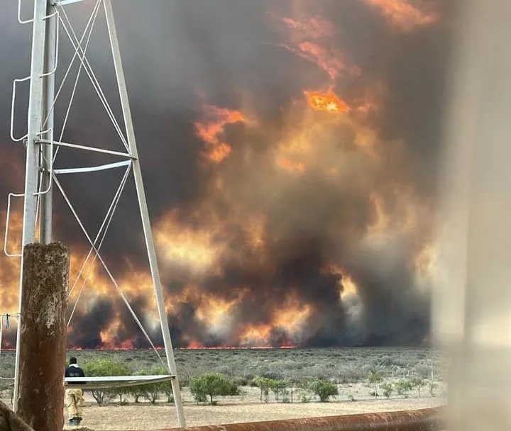 incendio la colmena 1