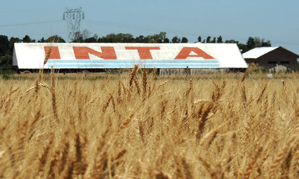 tierras inta