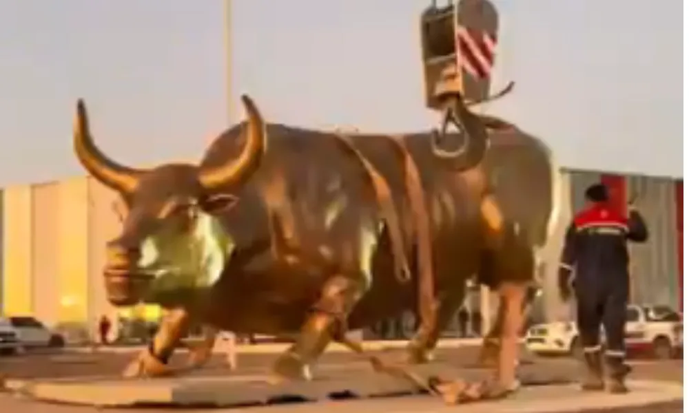 Toro Añelo