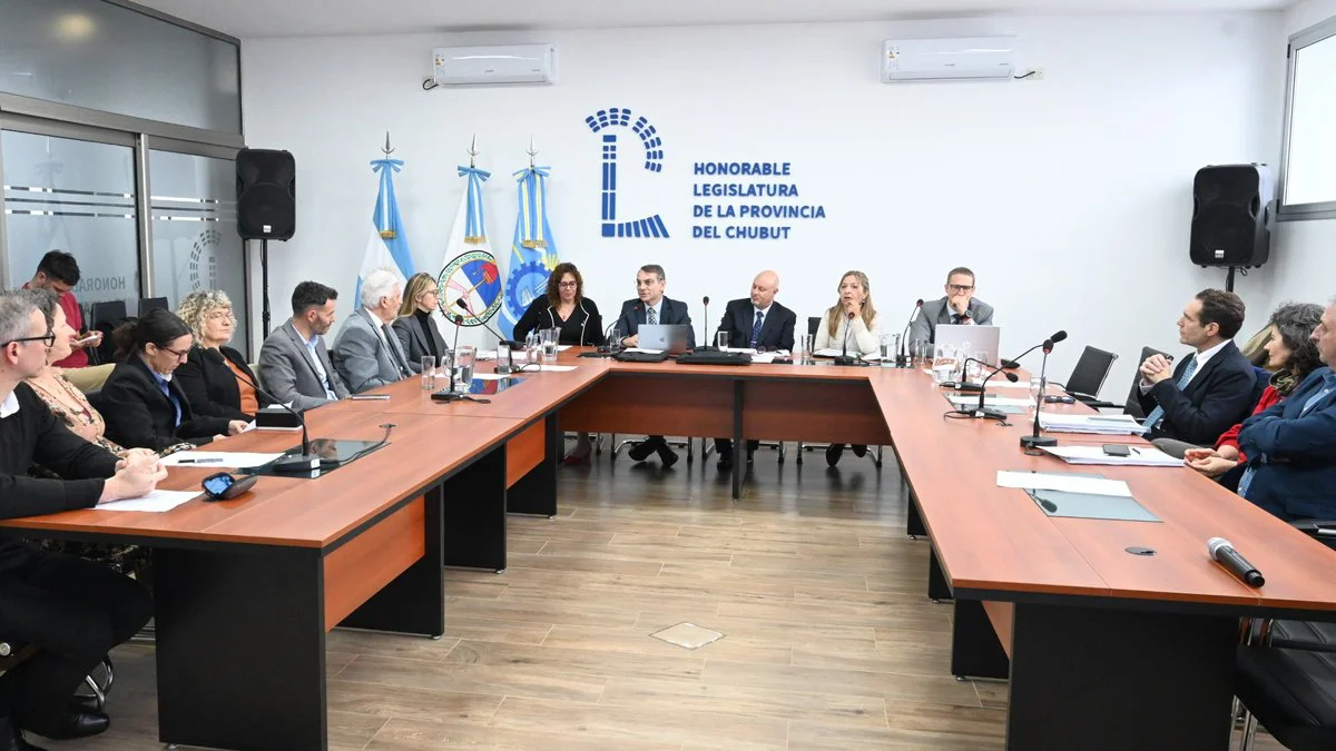 Comisión Redactora del nuevo Código de los Procesos No Penales