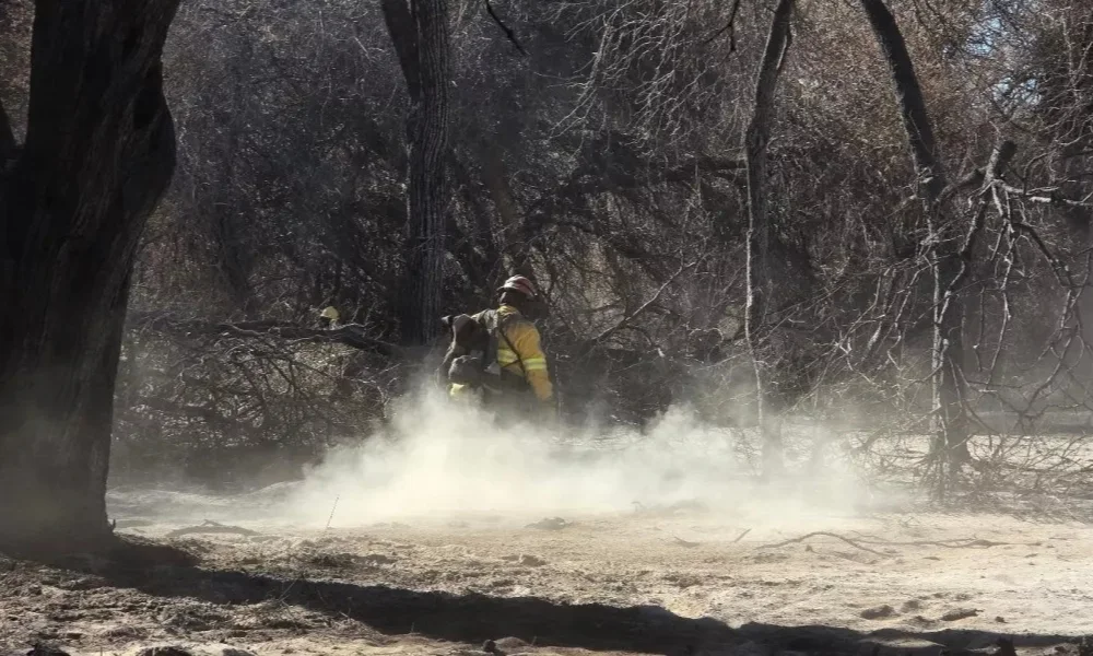 Continúan las tareas sobre sectores donde persiste combustión subterránea y el operativo seguirá activo.
