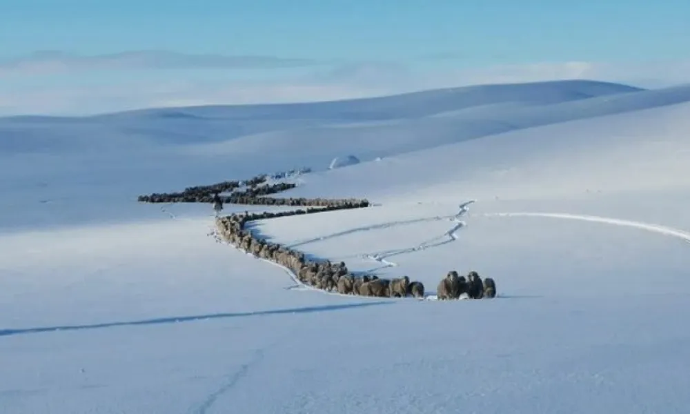 Santa Cruz