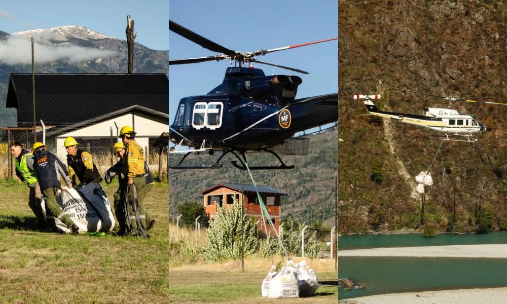 Chubut llevó coihues en helicóptero a un bosque quemado
