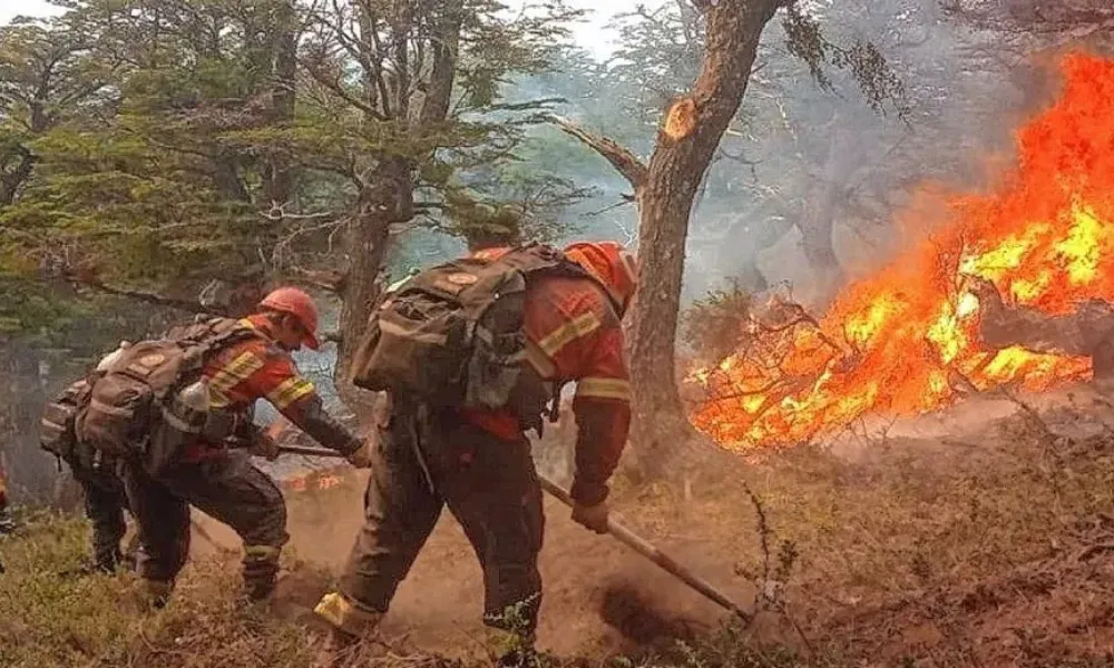 Trabajo de brigadistas